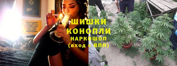 спайс Арсеньев