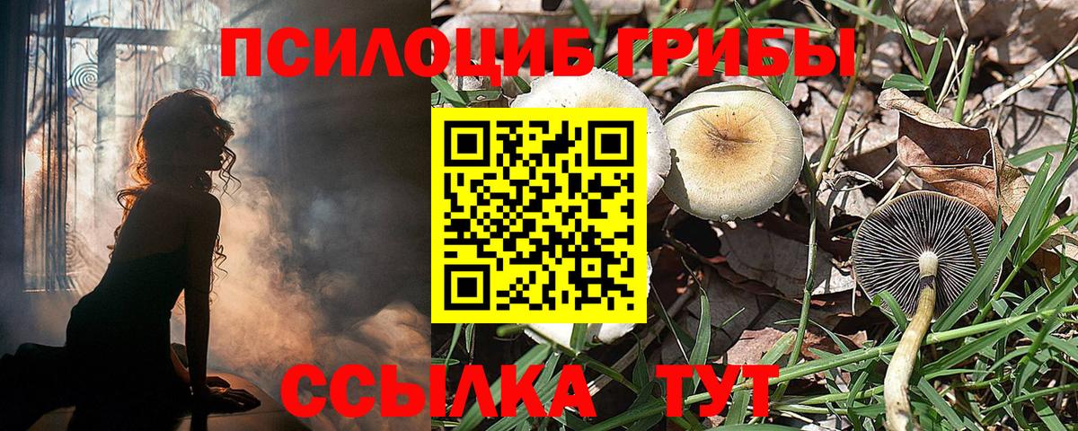 Одинцово  Псилоцибиновые грибы прущие грибы  где купить наркоту  Вход с VPN 